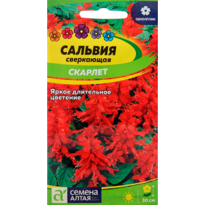 Сальвия Скарлет сверкающая/Сем.Алт/цп 0,1гр