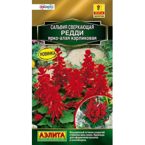 Сальвия Редди карликовая ярко-алая (7 сем.)Ц