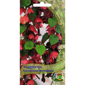 Родохитон Китайские фонарики 3шт П+Ц
