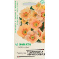 Примула Даниелла абрикосовая F1, бесстебельн. 5 шт. Саката(Г)