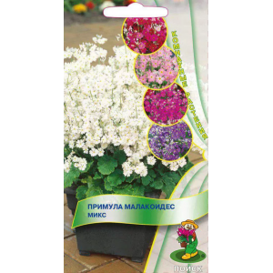 Примула Малакоидес Микс 0,01г П+Ц