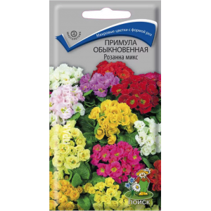 Примула Розанна микс махровая П+Ц