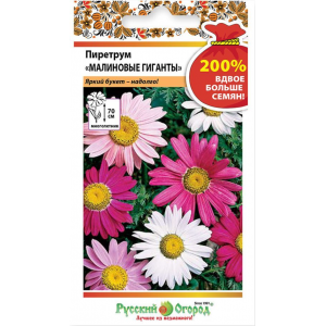 Пиретрум Малиновые гиганты 200% (НК) 