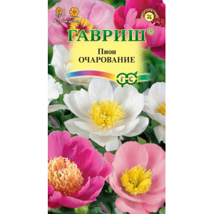 Пион молочноцветковый Очарование 3 сем. (Г)