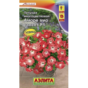 Петуния Аморе Мио сансет F1 (амп) (5 шт.) Ц