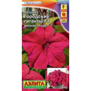 Петуния Городские гиганты F1 7шт  винная ягода 
