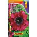 Петуния Триумф Бордовая крупноцветковая(10др)