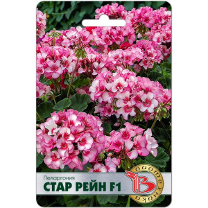 Пеларгония  Стар Рейн F1 (БИО) 