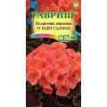 Пеларгония зональная Найт Салмон F1*4сем(Г)