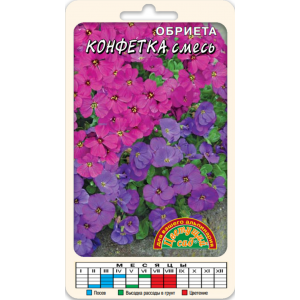 Обриета Конфетка ЦВ