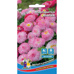 Маргаритка Мария (УД)