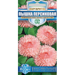 Маргаритка Пышка персиковая* 5 шт(Г)				