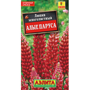 Люпин Алые Паруса (15шт) Ц