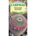 Маммиллярия Красотка (2 сем.) Г