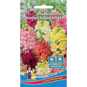 Львиный Зев Волшебный Ковер (УД)