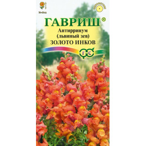 Львиный зев Золото инков