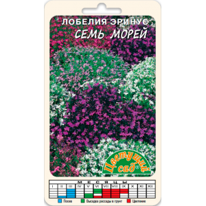 Лобелия  Семь морей ЦВ