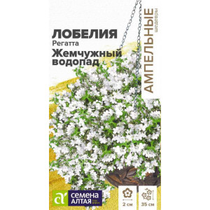 Лобелия Регатта Жемчужный Водопад /Сем Алт/цп 8 шт.