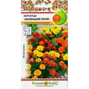 Бархатцы Маленький герой (НК)