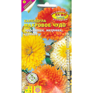Календула Махровое чудо Аэ Ц