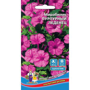 Мирабилис Пурпурный леденец (УД) 0,5г
