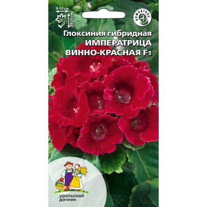 Глоксиния Императрица Винно-красная - гибридная F1 (УД)