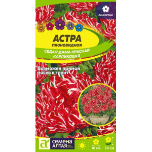 Астра Седая Дама Красная/Сем Алт/цп 0,1 гр.