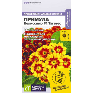 Примула Белиссимо F1 Тагетес/Сем Алт/цп 5 шт.