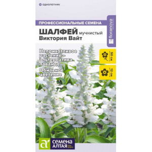 Шалфей Виктория Вайт мучнистый/Сем Алт/цп 10 шт