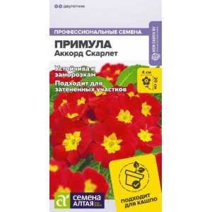 Примула Аккорд Скарлет/Сем Алт/цп 5 шт