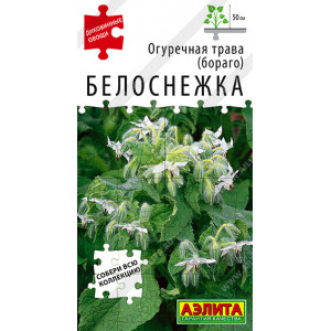 Огуречная трава Белоснежка Аэ Ц