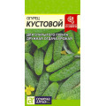 Огурец Кустовой/Сем Алт/цп 0,5 гр.