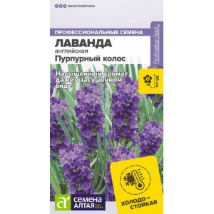 Лаванда Пурпурный колос английская/Сем Алт/цп 5 шт. 
