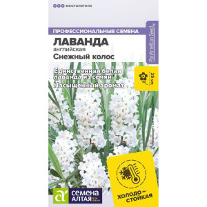 Лаванда Снежный колос узколистная.(АЛТ) 												
