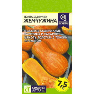 Тыква Жемчужина Мускатная/Сем Алт/цп 1 гр