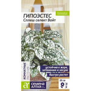 Гипоэстес Сплеш селект Вайт/Сем Алт/цп 5 шт. многолет