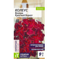 Колеус Визард Красный бархат/Сем Алт/цп 5 шт.
