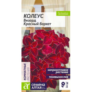 Колеус Визард Красный бархат/Сем Алт/цп 5 шт.