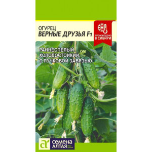 Огурец Верные друзья F1/Сем Алт/цп 5 шт.
