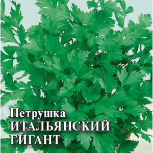 Петрушка листовая Итальянский гигант 25 г (Г)