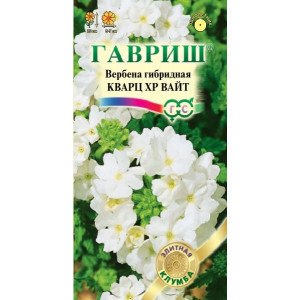 Вербена Кварц XP Вайт, гибридная* 5 шт(Г)