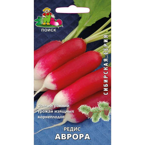 Редис Аврора (г.) (П+Ц)