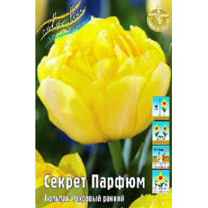 Тюльпан Секрет Парфюм (3)