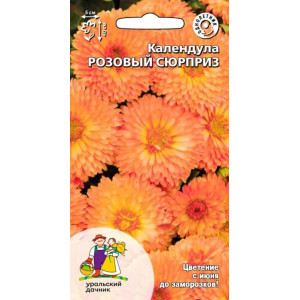 Календула Розовый сюрприз (УД)