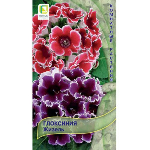 Глоксиния Жизель 5шт. П+ Ц КОМН