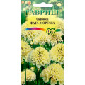 Скабиоза темнопурпурная Фата-моргана махр. 6 шт. Г
