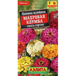 Цинния Махровый клумба, смесь 12шт