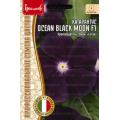 Катарантус Ocean Black Moon F1 5шт.  (Григорьев)