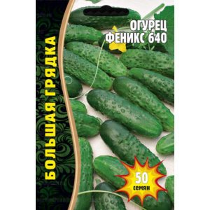 Огурец Феникс 640  50шт. (Григорьев)