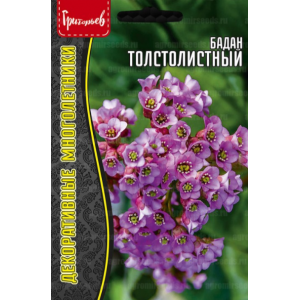 Бадан Толстолистный  0,01г. (Григорьев)
